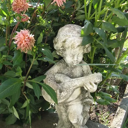 Πανσιόν Del 4*